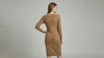 Women's Camel Embellished Neck Knit Sheath Dress (3)