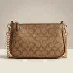 Coach Signature Canvas Demi Bag with Gold Tone Chain Strap (1)
