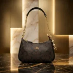 Coach Signature monogram dark brown mini shoulder bag with gold tone chain strap and heart charms (3)