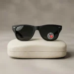 Ray Ban matte black square Wayfarer sunglasses for men with polarized lenses (3)