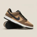 Brown Nike SB Low Top Sneakers for Men (1)