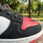 Nike SB Dunk Low Pro sneakers (1)