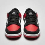 Nike SB Dunk Low Pro sneakers (2)