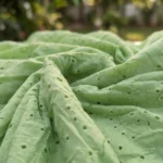 Signature Green Schiffli Eyelet Maxi Dress – photo 3